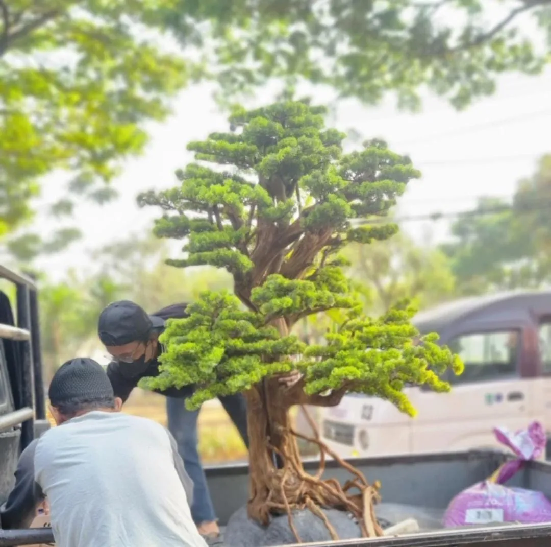 pohon bonsai artificial